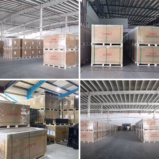 Longi New Arrival Himo